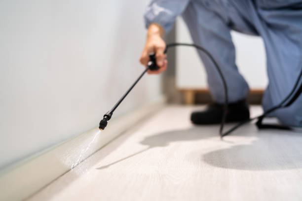 Licensed Rodent Control service in Lincoln Heights, OH - Nex Pest Control