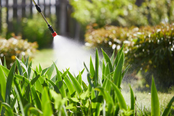 24/7 Emergency Rodent Control experts in Lincoln Heights, OH