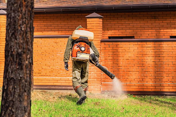 Trusted Termite Control service in Lincoln Heights, OH - Nex Pest Control